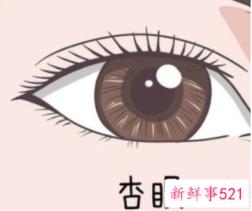 如何测自己的眼型