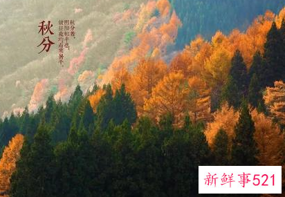 秋分祝福语独特的