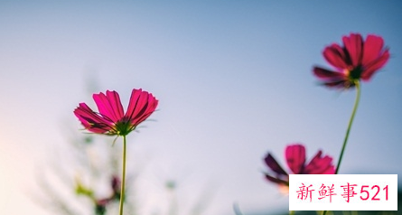 聊天男生最招架不住的撩法