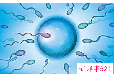 女性做试管要具备什么条件