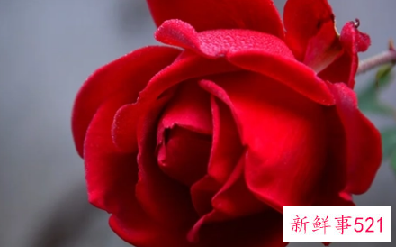 聊天男生最招架不住的撩法