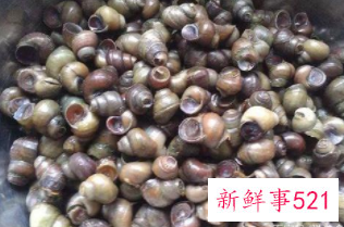田螺应该怎么去除腥味