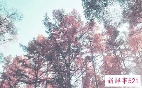 秋季皮肤脱皮怎么回事