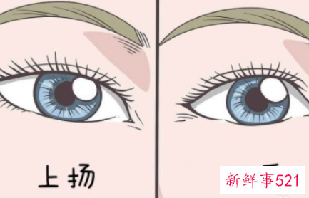 如何测自己的眼型