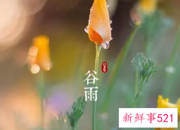 谷雨节气的由来和传说有哪些