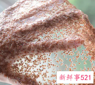 珍珠粉海藻面膜的功效