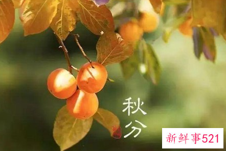 秋分祝福语独特的