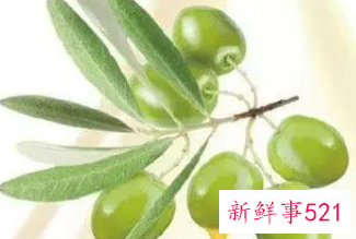 荷荷巴油的正确用法