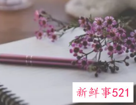 村委会土地承包合同怎么写