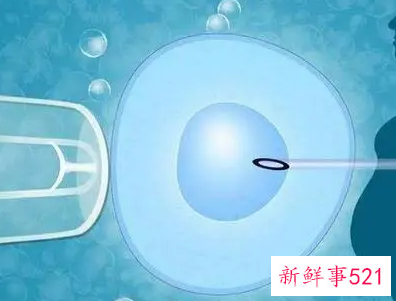 女性做试管要具备什么条件