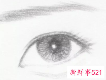 如何测自己的眼型