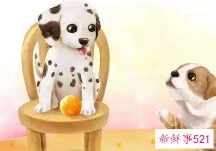 属狗男生动情的表现