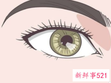 如何测自己的眼型