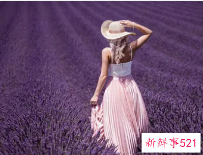 沉稳内敛男生喜欢什么样女生