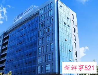 最吉利旺财的公司名字免费