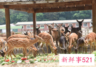 五一适合去哪里玩穷游哈尔滨周边