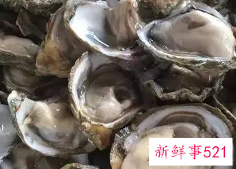 一箱生蚝怎样保存时间长