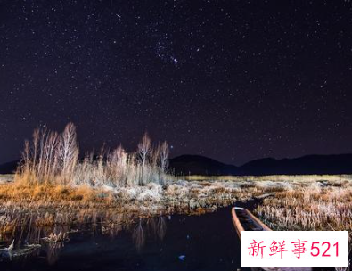 男人网上聊暧昧的原因