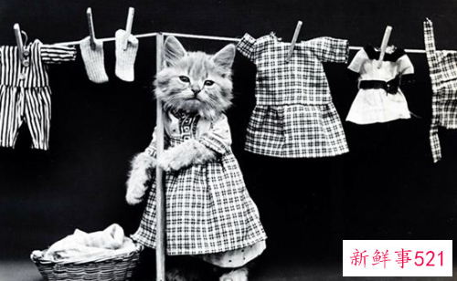 梦见收拾衣物是什么意思