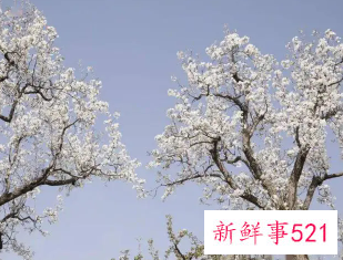 五一适合去哪里玩穷游哈尔滨周边