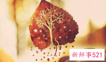 交友要交心下一句是