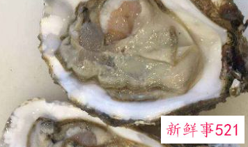 一箱生蚝怎样保存时间长