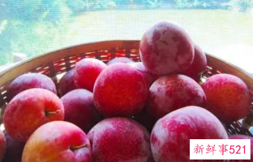 减肥期间晚上吃李子会胖吗