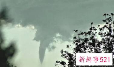 女人梦见刮旋风好吗