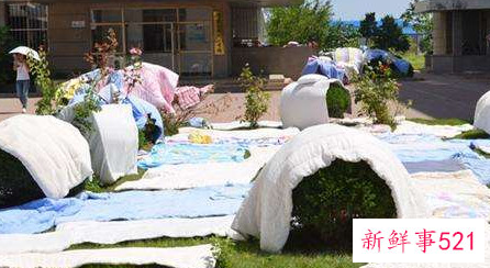 被子分为哪些种类