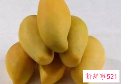 大芒果还是硬的怎么催熟