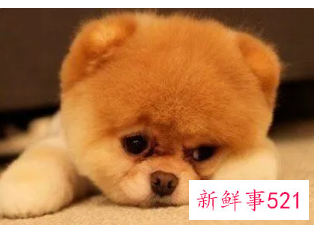 心情郁闷的微信名