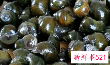 寒性极强的食物