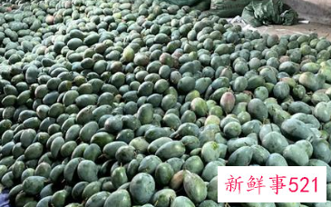 大芒果还是硬的怎么催熟