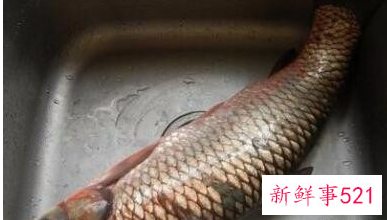 油爆鱼烧汤怎么做