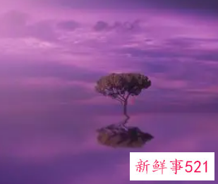 梦见线有什么征兆