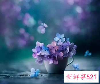 高智商暖心套路情话