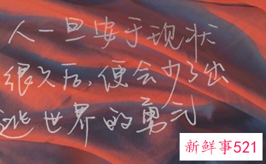 一年的收获与感悟句子