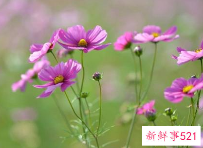 一个女人心大真的好吗