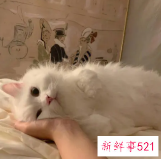 让女生瞬间感动的礼物便宜