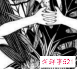 有钱女人的细节