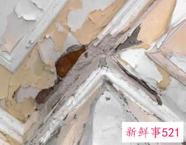 梦见房顶有洞漏水