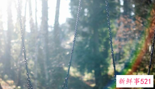 爱情危机感的经典句子