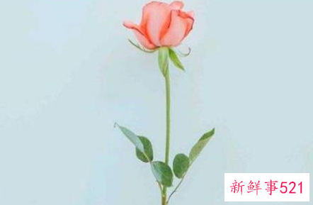 男人说我配不上你的真正含义