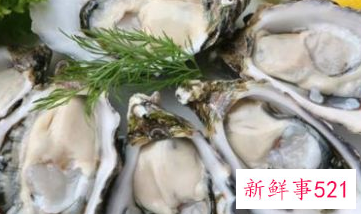 一箱生蚝怎样保存时间长