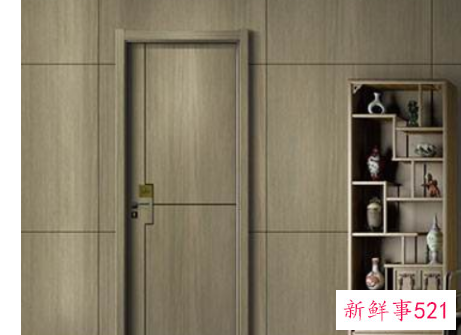 做门的材料有哪些种类