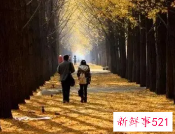 余生陪你一起变老句子一路走来