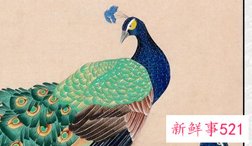 两只孔雀的画是什么意思