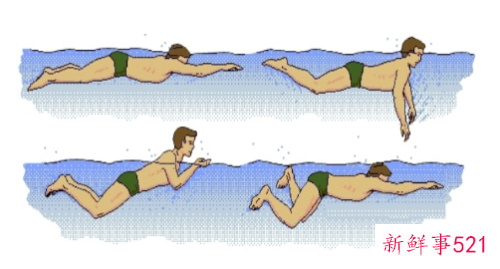 蛙泳正确的划水姿势