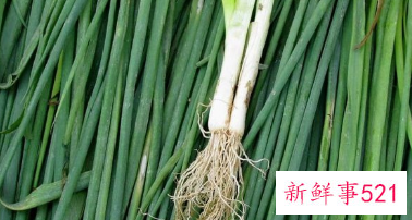 菠菜根色是什么颜色