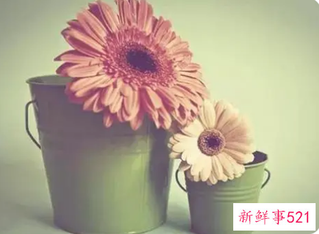 最能撩动女生的情话